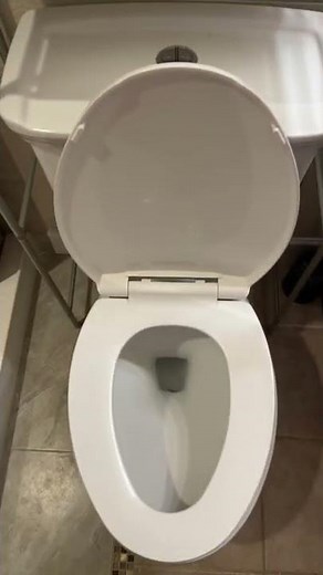 How to flush a push button toilet.