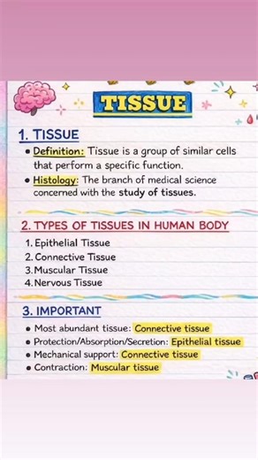 Tissue = group of cells working together #tissue # #study #science #biology #biologynotes