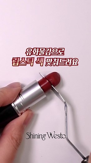 유화물감으로 만든 립스틱 색상 맞추기