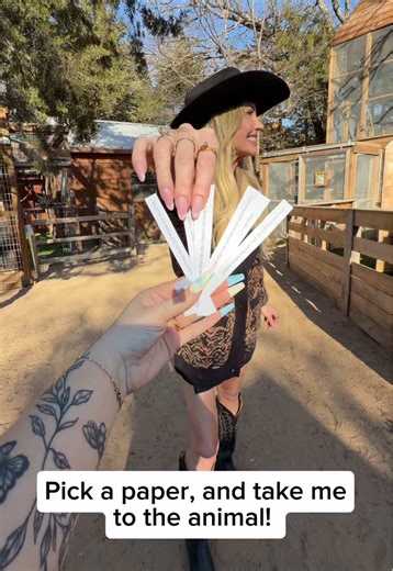 Wildlife Yearbook: Matching Animals to Their Descriptions