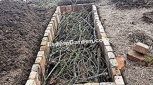 Kako liječiti stablo trešnje protiv bolesti i parazita 🌿 Sve O Vrtu I Vrt Dizajn - 2025