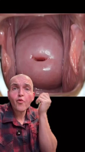 Josh Cottle on Instagram: "What does the cervix look like and what does it do? #anatomy #science #medical"