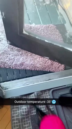 When dogs touch snow and instantly forget how walking works 🐶❄️😂#SnowDogs #WinterPups #DogFails #FunnyPets #ColdWeatherDogs