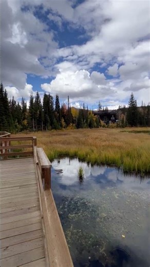 Silver Lake Boardwalk: