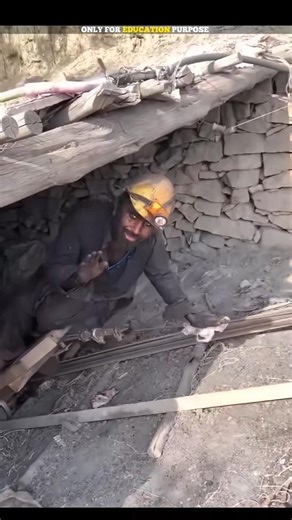 How do miners work in coal mines? ⛏️🌑 #facts #shorts #youtubeshorts #shortsfeed #ytshorts