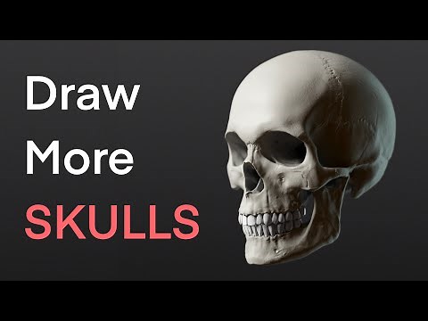 Skull anatomy to help you draw better portraits