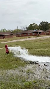 2.9K reactions · 662 shares | Inner City Blues隣 #fypシ #explore #reelsviralシ #MobileAlabama | Brandon James Williams | Facebook