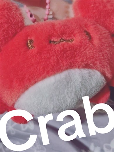 I love my squishy crab #crab #plush #keychain #ad #fyp