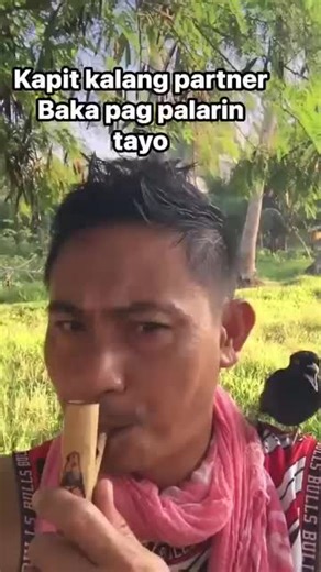 #BirdSounds#NatureSounds#BirdCalls#Birdsong#wildlifesounds