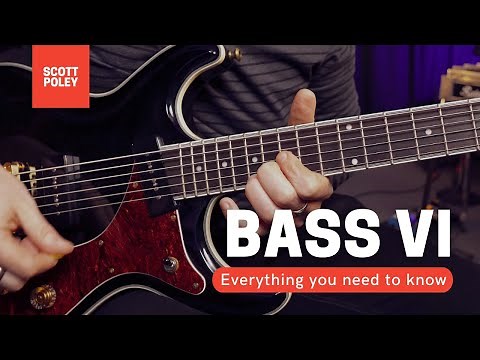 Bass VI - Everything You Need To Know