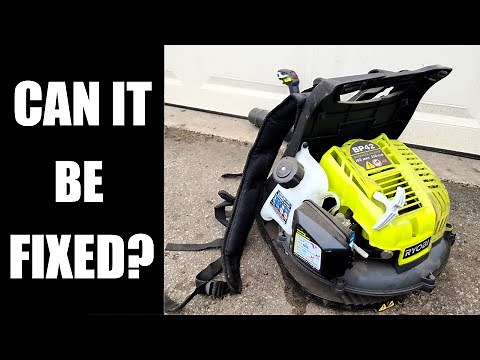 RYOBI Leaf Blower All Seized UP! Is It Worth Fixing?
