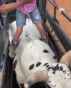 7.9M views · 6.5K reactions | One year ago, Addi got to sit on her boy, Hard Labor in the bucking chutes! | Nothin' But Try Ranch and Event Center | Facebook