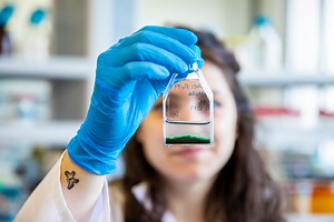 What can you make with algae?