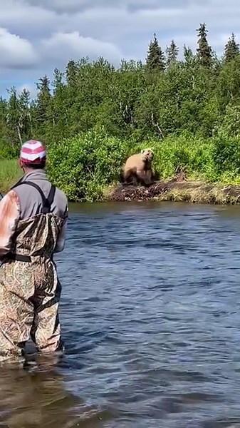 Don’t you hate those guys that always ask, “Hey, what fly you using to catch all those fish?”, Just tell them to “bug off”, move along and go figure it out for themselves…..🤪 www.atalodge.com #atalodge #alagnakriver #flyfishing #fishing #catchandrelease #troutfishing #flyfishingaddict #fishinglife #flyfishingjunkie #flyfishinglife #flytyingjunkie #outdoors #troutbum #flyfishingnation #angler #flyfish #dryfly #fisherman #fishingislife #tightlines #keepemwet #fishon #fishingaddict #fliegenfischen
