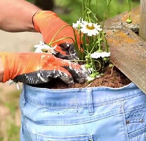 376K views · 438 reactions | Some inspirational ideas for your garden & yard! | 5-Minute Crafts | Facebook