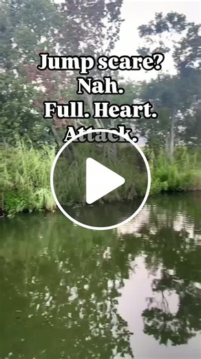 A Terrifying Encounter With an Alligator You Don’t Want to Experience Firsthand - NewsBreak