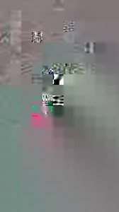 Meet Snipe, the UK’s first sniffer dog... - United Utilities