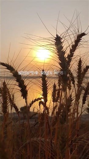 #foryou #ismile #islamicvideo 🌻🌾