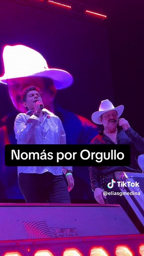 Nomás por Orgullo de Elías Medina: Letras y Significado