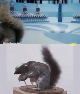 The Animatronic Squirrel designed and built by Tom Blake and Gustav Hoegen for “Charlie and the Chocolate Factory” (2005). 🍭 🍫 📼 Via Instagram.com/filmmakersworld | FilmFreeway