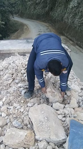Collecting Rocks in Nature: Outdoor Sorting Adventure