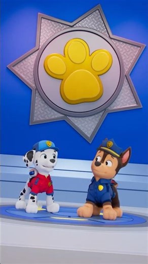 PAW Patrol | De PAW Patrol-pups zijn klaar voor actie! | Nick Jr. Nederlands