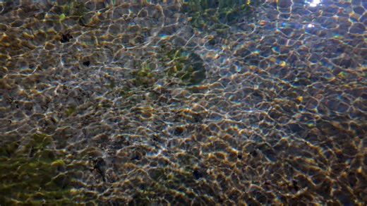 Reflection, Pool, Wave. Free Stock Video