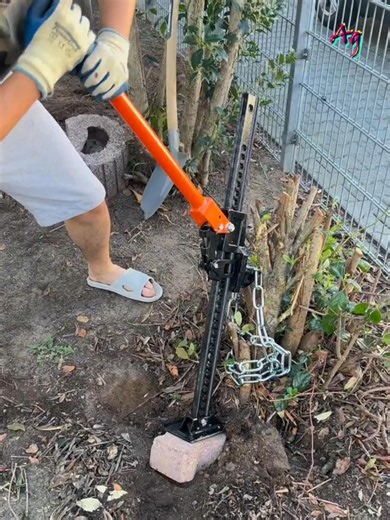 224K views · 885 reactions | The Smart Way to Uproot Tree Roots | A&G Gallery | Facebook