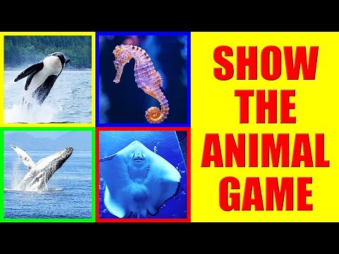 Show me the OCEAN ANIMAL Game for Kids - Where is the animal?