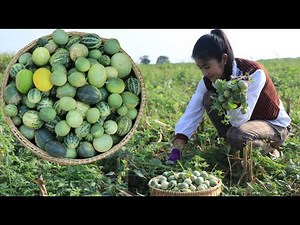 Have You Ever Seen These Small Melons? / Wild Small Melon Cooking / Cooking By Sreypov.