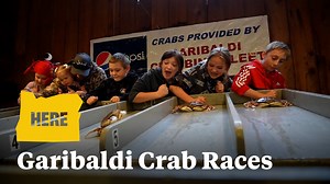 10K views · 166 reactions | There’s only one rule at the Garibaldi...