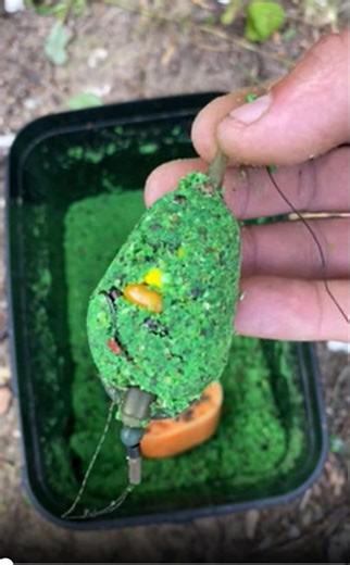 Step-by-Step Carp Rig Setup – Fishing Montage