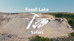 Discover the adventure of a lifetime with FossilEra Adventures at our exclusive Fossil Lake Safari near Kemmerer, Wyoming. Explore one of the world’s top fossil beds, renowned for its stunning collection of beautifully preserved fossil fish. Perfect for the whole family, this experience promises unforgettable moments. Our knowledgeable and friendly staff will guide you every step of the way, ensuring you make lasting memories. And the best part? You get to take home the fossils you uncover! Loca