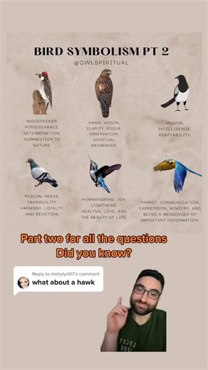 Ready to decode nature's secret messages? 🦉🦅 Welcome to Bird Symbolism Pt. 2! We're diving deeper into the spiritual meaning and profound messages behind different types of birds. From the intuitive wisdom of the owl to the soaring vision of the eagle, discover what these feathered messengers are trying to tell you. ✨ Is your spirit bird in this video? Watch to find out! Let us know which bird's message resonated with you the most! 👇🕊️💖 #BirdSymbolism #SpiritualMeaning #SpiritAnimals #fypシ゚