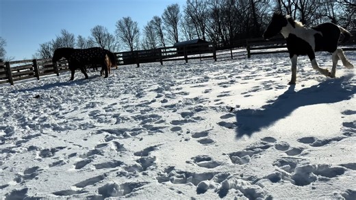 Carrie (@sunedee_)’s videos with original sound - Carrie