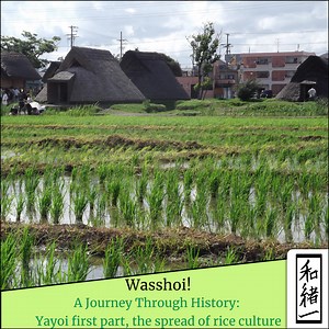 A Journey Through History: Yayoi – Part One –The Spread of Rice Culture