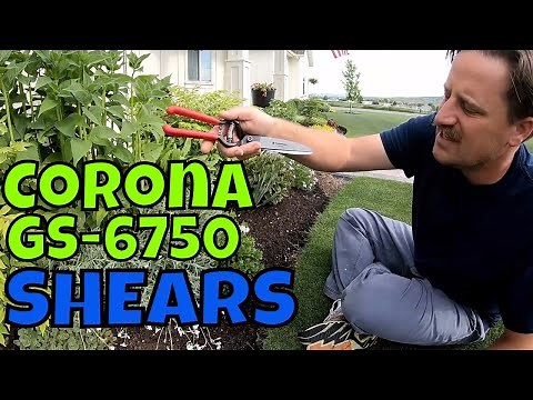 HOW TO USE CORONA Grass Shears GS 6750 // Connor Ward