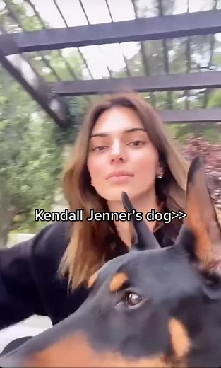 Kendall Jenner's Doberman, Pyro: Celebrity and Pet Bond