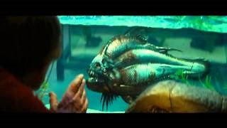 Piranha 3D streaming: where to watch movie online?