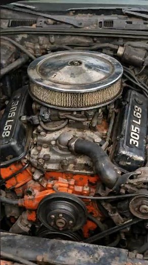 Chevy 305 L69 — The Carb HO Legend