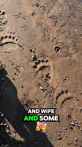 66K views · 979 reactions | Kodiak Island - home of the smallest and largest most “vicious” creatures! #kodiak #alaska #wildlife #nature #wilderness | KrisLuck Photography | Facebook