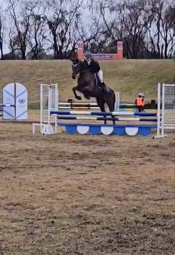 Show Jumping Fails: When Equestrians Slip into Mud