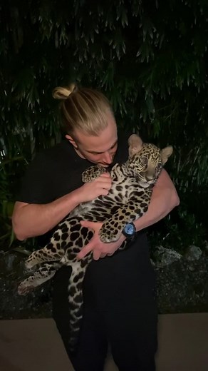 Exploring the Jungle with Adorable Baby Jaguars