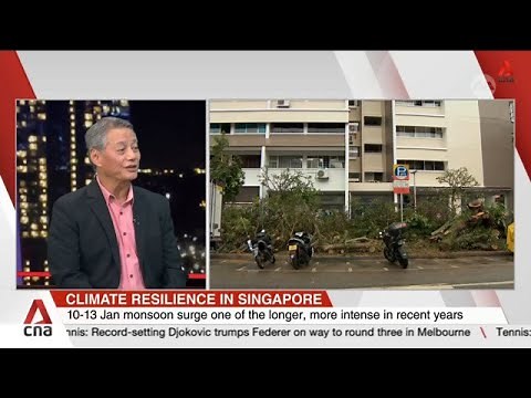 Singapore to see more intense monsoon rains as La Niña set to persist through April