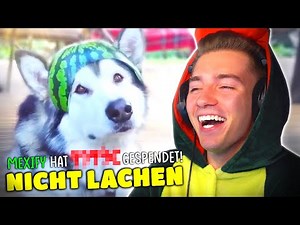 Versuche NICHT zu LACHEN...! 1.0 | (Mit Bestrafung)