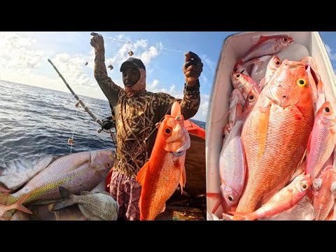 NIGHT AND DAY FISHING FOR DIFFERENT SPECIES OF SNAPPERS