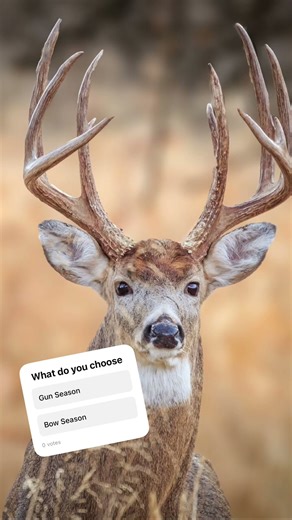 GUN VS BOW SEASON | Hunting 2025 #nature #wildernessseason #deerhunting #wildlife #whitetailhunting