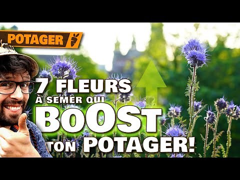 🌸 SOW these 7 FLOWERS and watch YOUR VEGETABLE GARDEN EXPLODE! 🚀🌱 (Sowing & Tips) 🌿