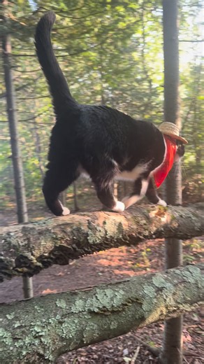 19K views · 7.2K reactions | Aaron Apps on Reels | Facebook