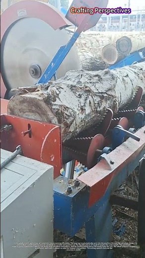 Satisfying ASMR: Automatic Saw Cutting Perfect Equal Length Logs